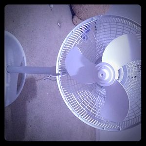 The fan